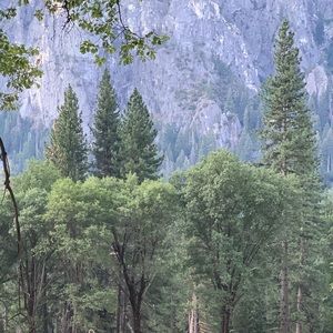 Meet your Posher, Jake